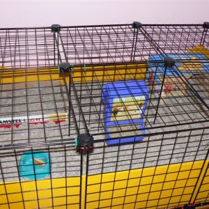 Punkin's Dog & Cat proof cage 2X3