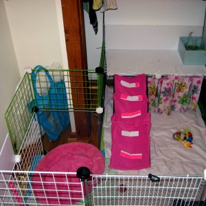 Bunny's new cage