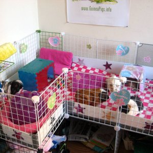 Girly cage