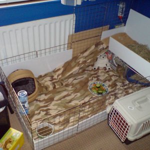 My camo-fleeced piggy cage