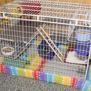 Updated Homemade Rat Cage