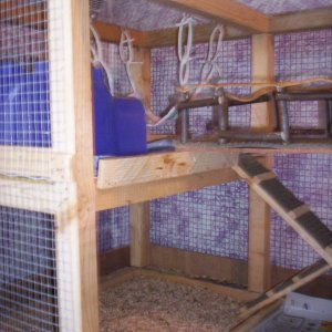 VIEW OF 2ND LEVEL,HAMMOCK, CUBBIE