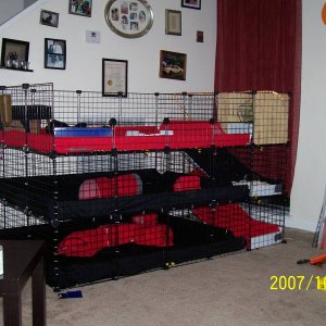 Our new cage design