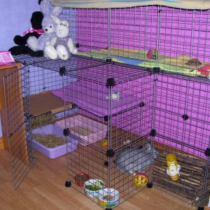 Maddie's new cage