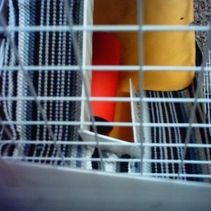 Baby and Shoop's Cage