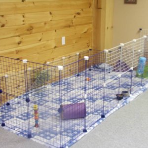 my bunnys double grid cage