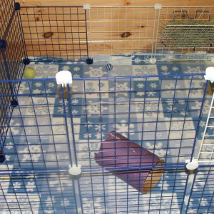 1rst half of rabbit cage