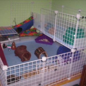 new cage and fleece