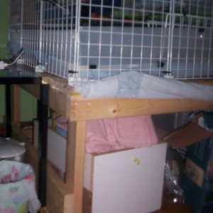 cage base